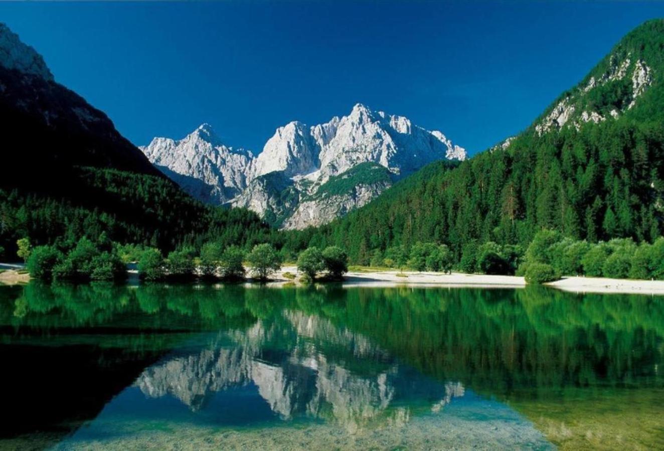 Apartmaji "La Vie Est Belle" Kranjska Gora Εξωτερικό φωτογραφία